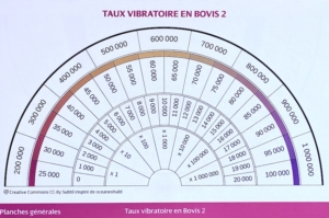 Triskel de protection des ondes négatives