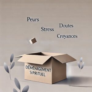 DEMENAGEMENT