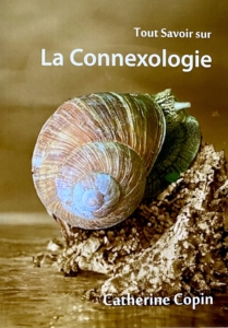 Tout savoir sur la connexologie par Catherine Copin