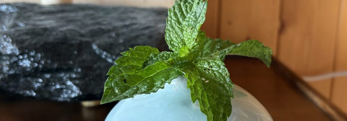 Quand l’invisible pousse déjà Neptune et Saturne en Bélier en 2026 : agir sans précipiter la croissance